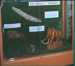 Woolly Mammoth
